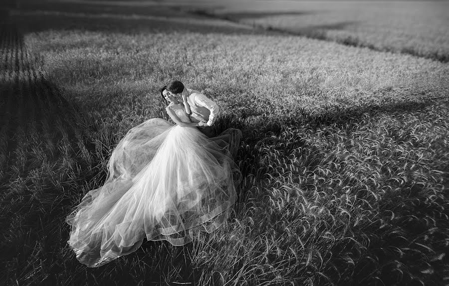 Fotógrafo de bodas Tatyana Kozhukhar (tmkozhukhar). Foto del 10 de julio 2019