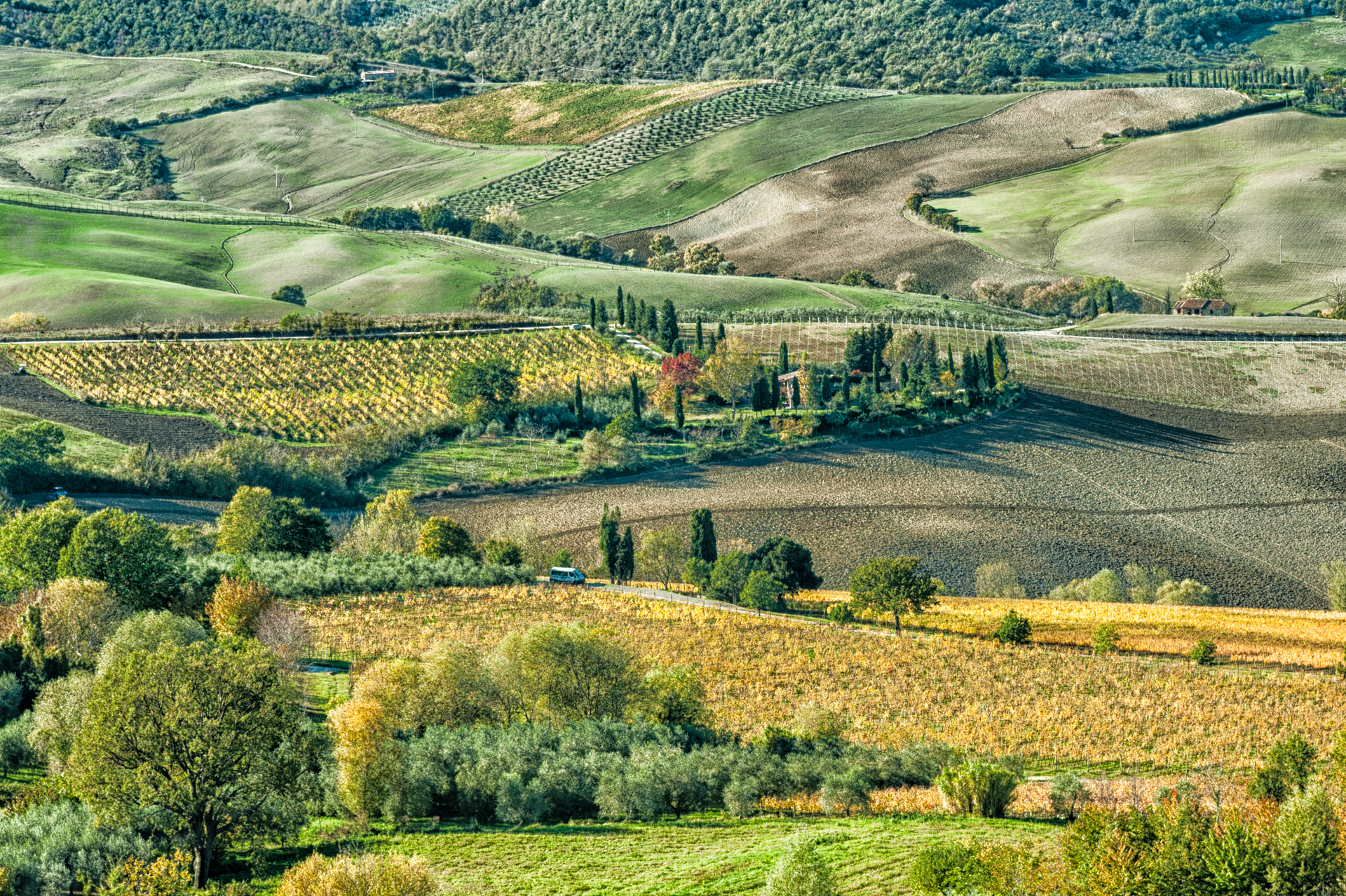 Verdi vallate ..  di laurafacchini