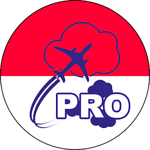 METAR Indonesia PRO