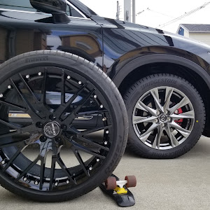 CX-8