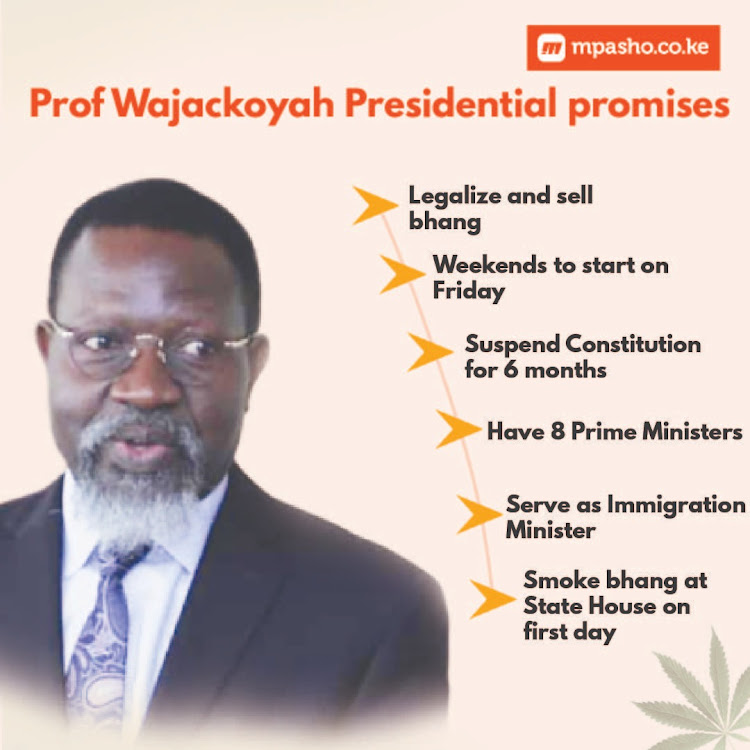 Prof Wajackoyah's presidential plans