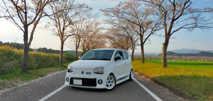 アルトの桜と愛車・サクラコラボ・まきば・リベンジ撮影に関するカスタム事例の投稿画像3枚目