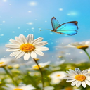 Daisies and butterflies wallpaper