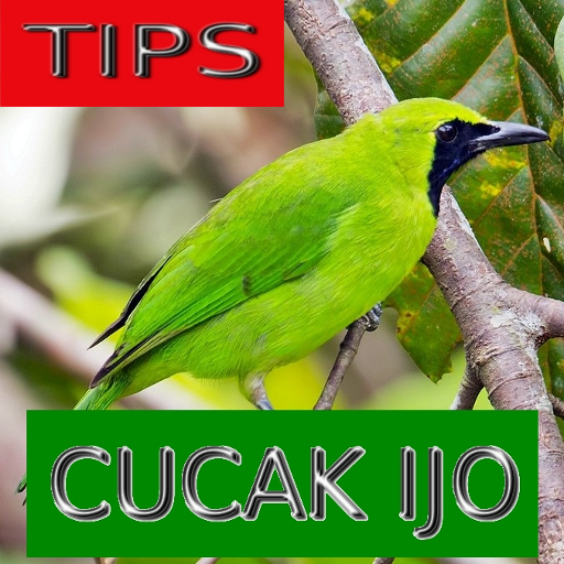 Tips Perawatan Cucak Ijo 書籍 App LOGO-APP開箱王