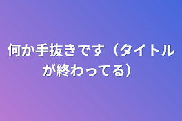 何か手抜きです（タイトルが終わってる）