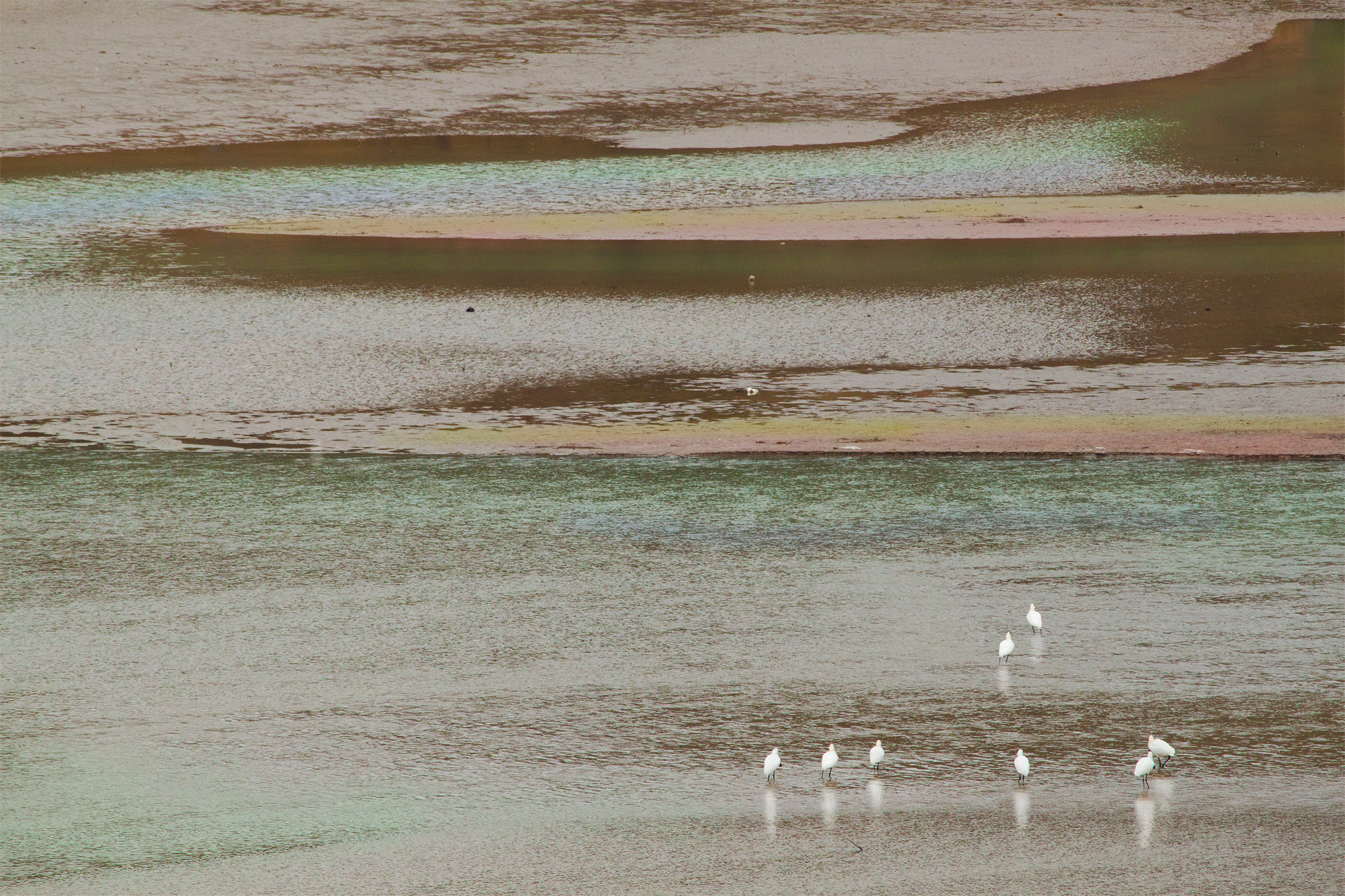 Sfumature della natura di PeBu