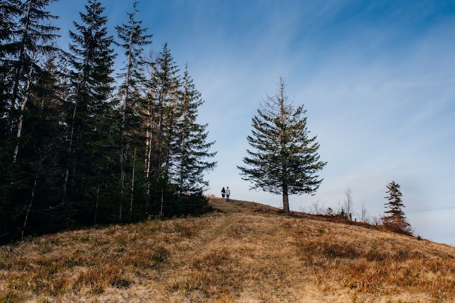 Свадебный фотограф Ната Кашевко (ptashka). Фотография от 21 мая 2019