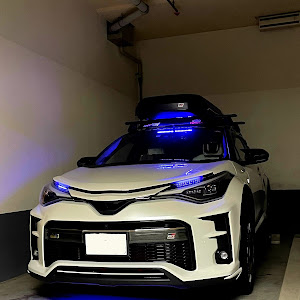 C-HR ZYX11