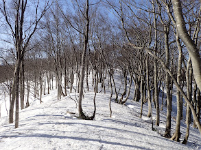 赤祖父山が近くに