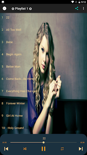 Taylor Swift Songs Offline