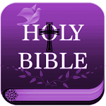 Cover Image of Download New Living Translation (NLT) 5 APK