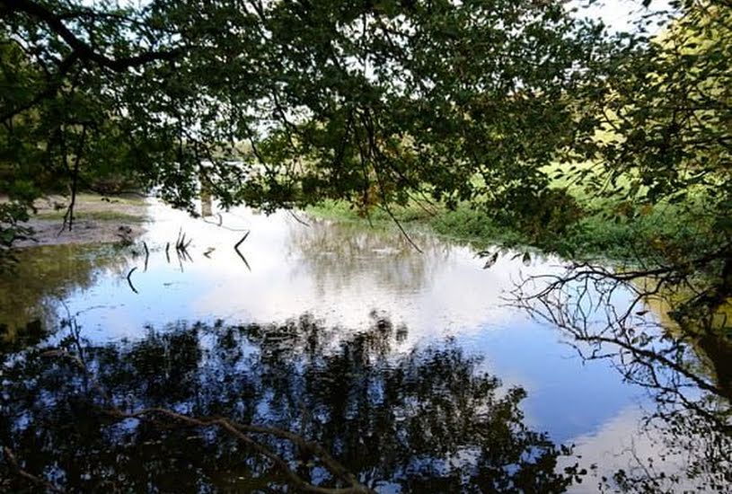  Vente Terrain à bâtir - à Romorantin-Lanthenay (41200) 