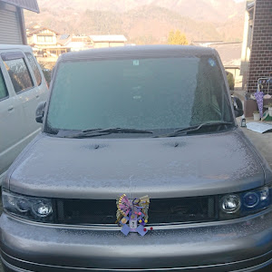 bB NCP31
