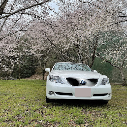 春桜のプロフィール画像