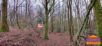 terrain à Champagney (70)