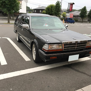 グロリア