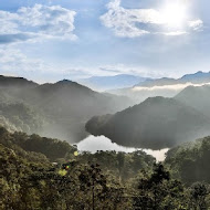 八卦茶園