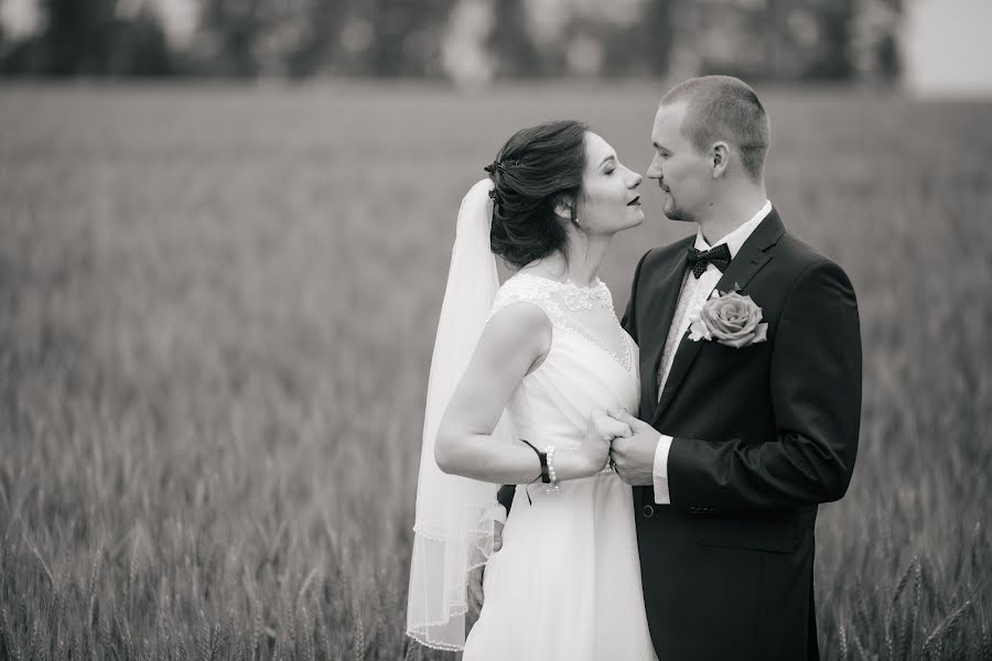 Fotografo di matrimoni Svetlana I Denis Fedorovy (svetafedorova). Foto del 3 settembre 2015