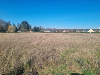 terrain à Paucourt (45)