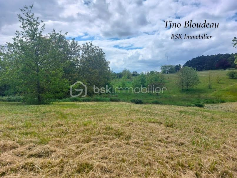 Vente terrain  1107 m² à Bléré (37150), 65 000 €