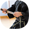 Kenjutsu Sword Fighting Guide