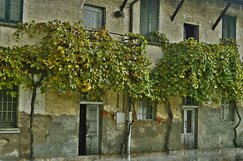 La casa natale di acquario