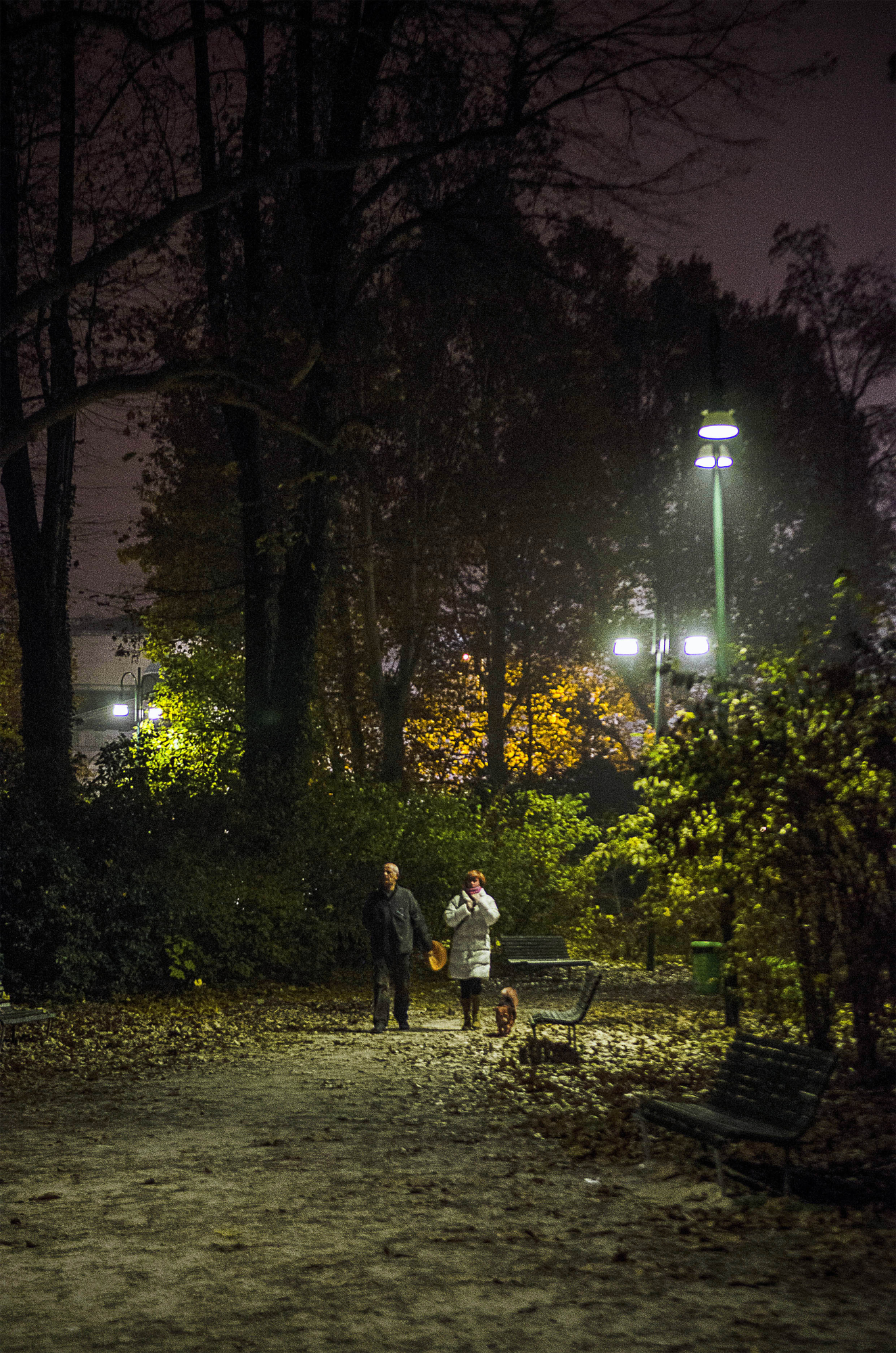 A spasso nel parco  di Aldo Rizzardi 