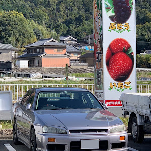 スカイライン