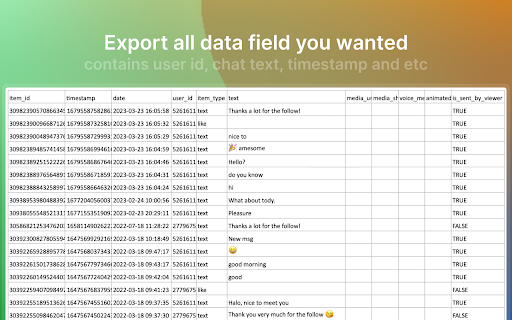 DMSaver - Export Chat Messages
