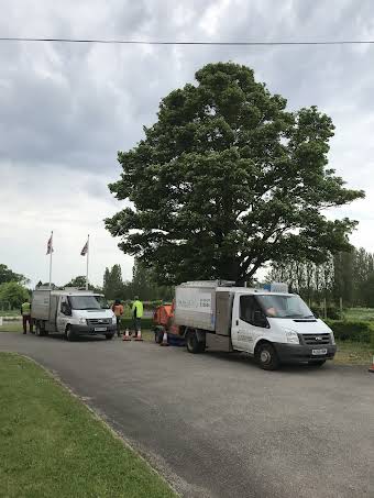 Tree felling Ipswich album cover