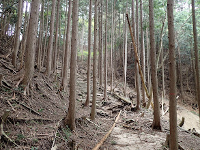 鐘突堂跡へ