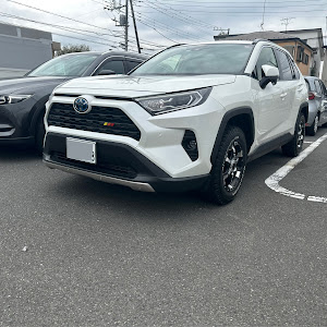 RAV4 AXAH52