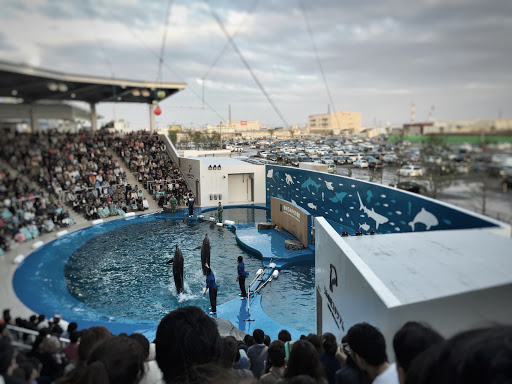 うみの社スタジアム