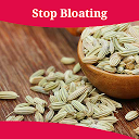 How To Stop Bloating 1.0 APK Herunterladen