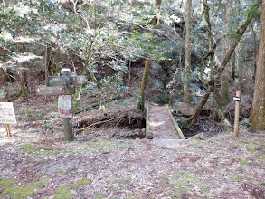 橋を渡り沢沿いに