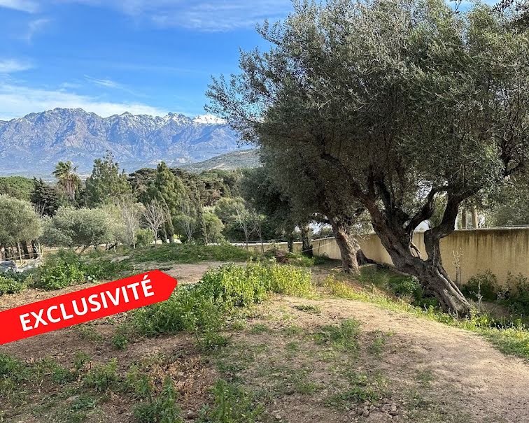 Vente terrain à batir  600 m² à Calvi (20260), 390 000 €