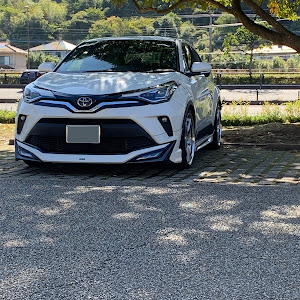 C-HR ZYX11