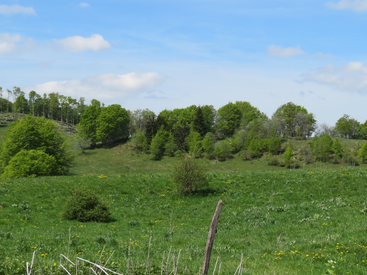 Plateau du Retord et vue des Alpes en bécane.. YLB3LwS49cj3GBpi9YwpFwRi5EqOzEwy8cZn9S200vD6MJl7p3cues36jgNaMPVaTlyFvHZ2fEOeeK9dFYdt7PgA2KfiLUNwJv3xLs2D-NjDXYOYyLLcF7oeQ6AYUBHMJNzGUUUMGhhlBA6pBU42Iqvi2jQGMr1bhZ5gt-GC34EmvUmWPoYLRWLi4Admhvn2z2cTg_gF_kVNudJfRUa6LTjyoMRYFHJ9rO2xZDMqgtohH0-GhpotOEaxKxg_SlT96yw5gFIUOV-uYPi7lbeGAPHkujdSGYUQHU4AYFM0dtNnfqMAbyPeKNuTnK3nuCmE-01Z60zOSCQGBgNfmdySlKKjz_9bwrJxlYOt3QVt0rOGpAJxaDh5u7EKUWWw_xCQWFLI7gdcJlBkEfGh8bstcaXPnAQPjNeuFcZveLts48-WlkekoUKmXz1vWESpdTfRvluTFZp7oiWt8QpVqMEKK0biEqd6H8GUONOAYf8wbRMm_1iLtUDm2uy4XlhyohJWNq69khglaBsu3Jl4jnVeTqaWePB_BH09PrwILEU0T5-bm6T-GVo_BLbase8pIoElGNV392AIV0bc7I0s1e5Apjm9n8_mF5MuIGqgOU2J6_KBrUYo66aKicQ5E2A8QyiHhZiu7QZLLFC9PZC65bzVjSPolsOJuTOMa4aM1bfBfg0=w1192-h894-no