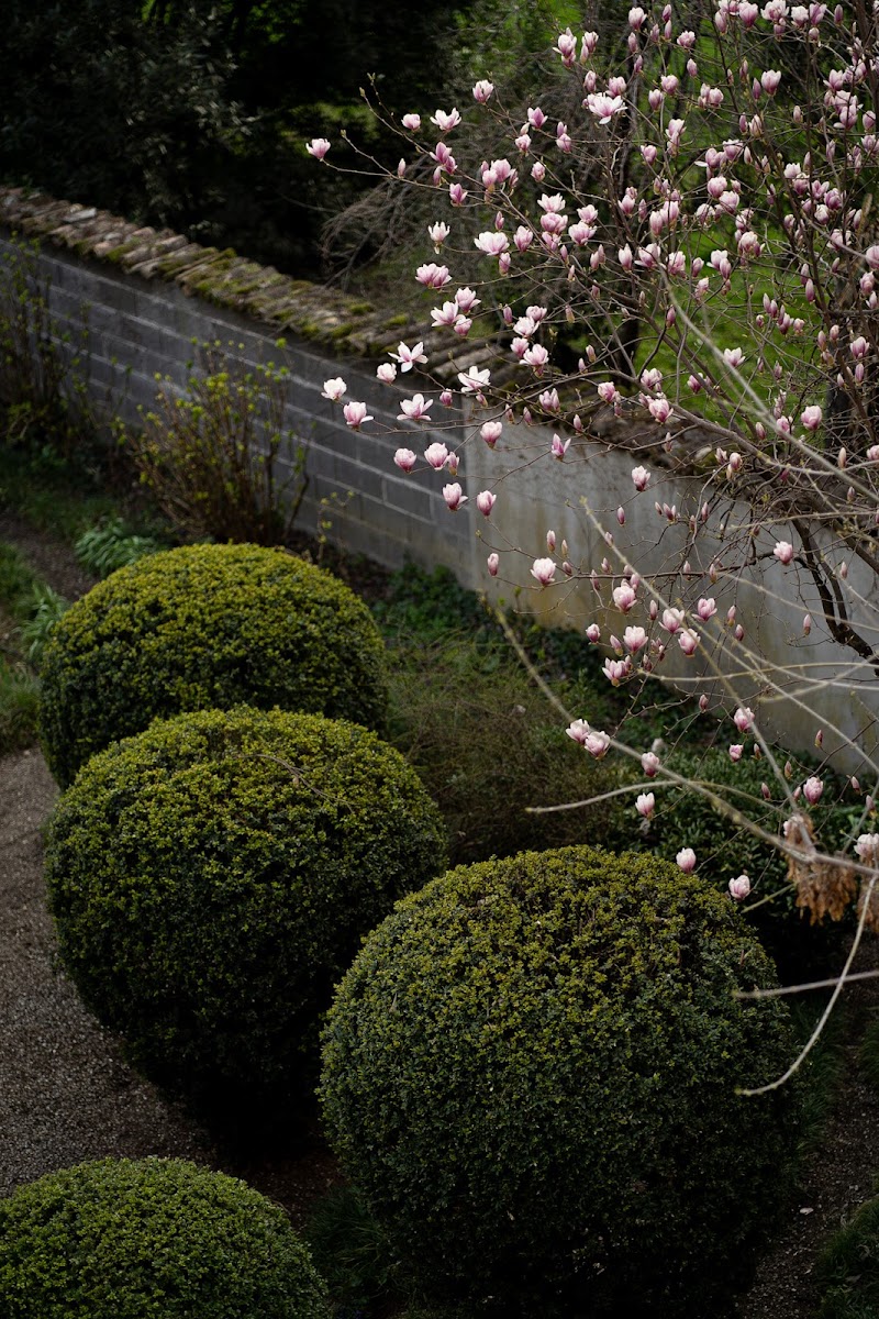 Marzo dal balcone di Lucabanchini