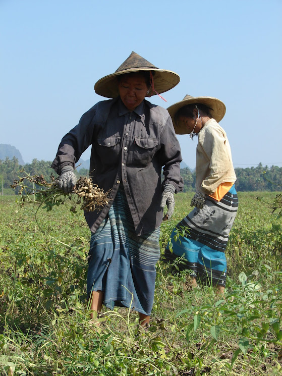 hpa an