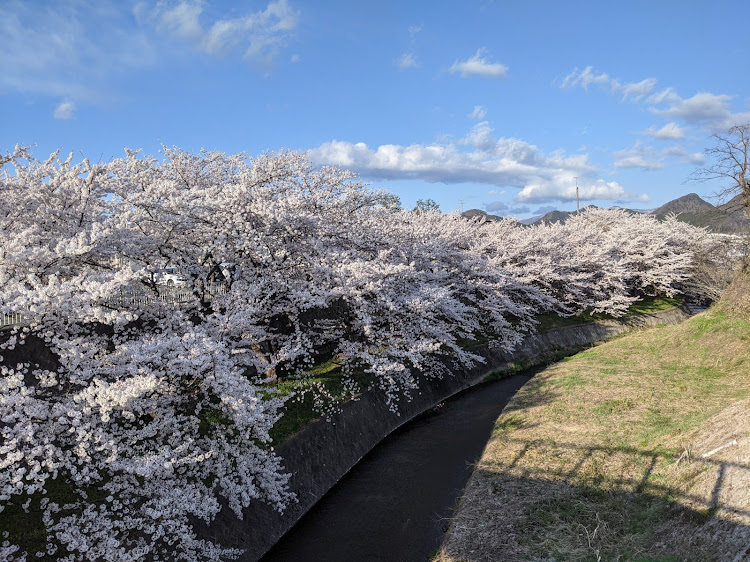 の投稿画像1枚目