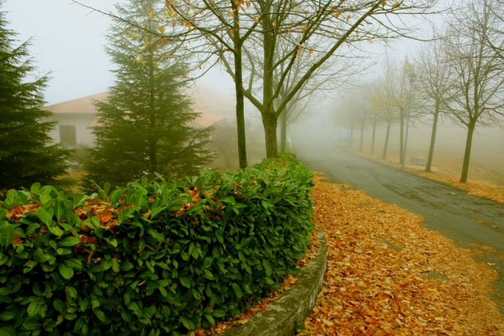 Colori d'autunno di valentina72