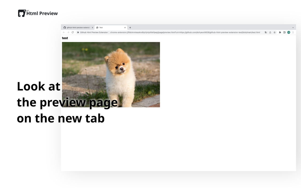 Github Html Preview Preview image 4