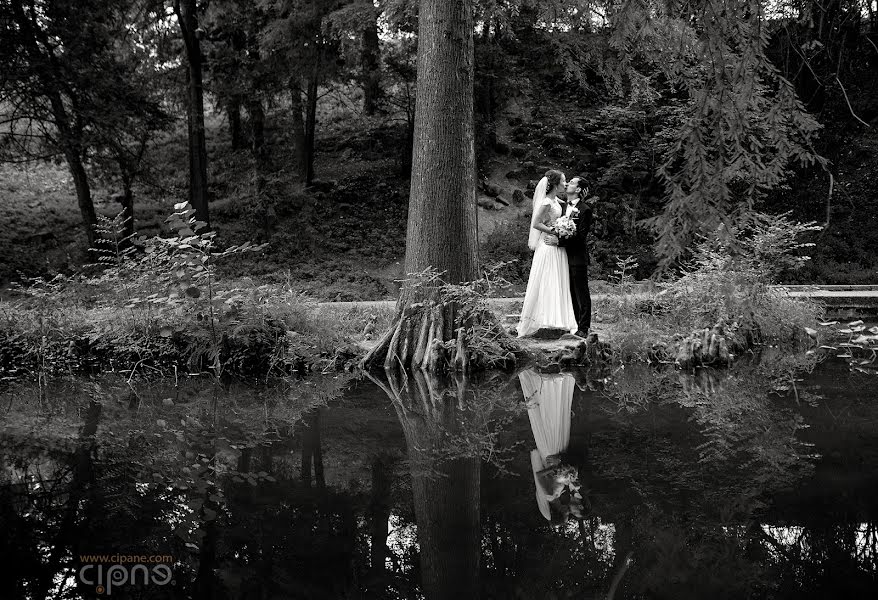 Fotografo di matrimoni Ciprian Vladut (cipane). Foto del 17 settembre 2016