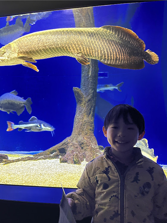 ハイエースバンの3月もよろしくお願いします・塩カルまみれ・雪解けドロドロ〜・山の水族館・2週間ぶりの運転に関するカスタム事例の投稿画像6枚目