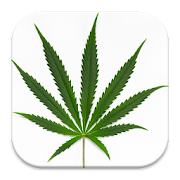 Hemp Cannabis Wallpaper  Icon