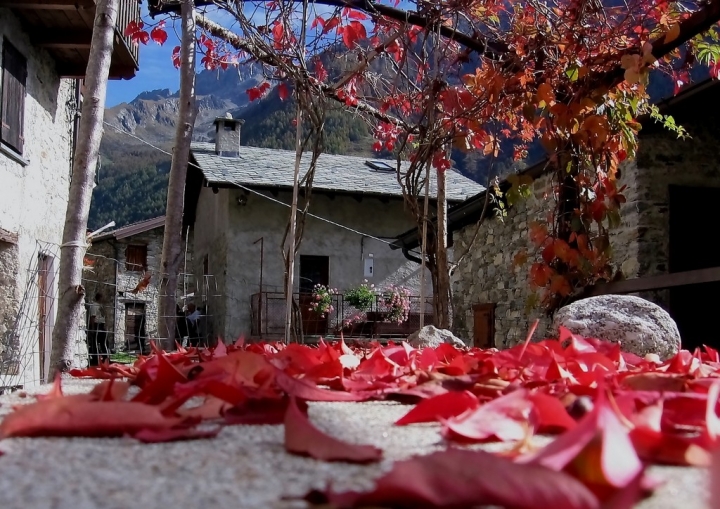 Contrasti d'autunno di Lino Vigano'