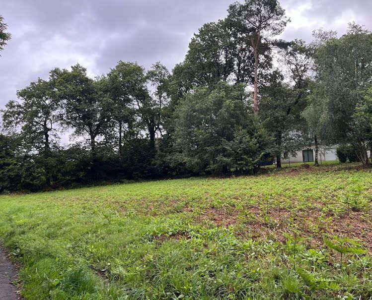 Vente terrain  765 m² à Treffrin (22340), 15 275 €