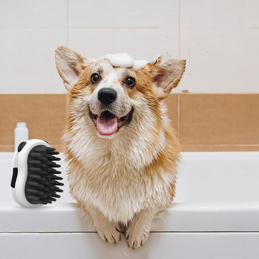 Title 3, Wet and Dry Massage Brush Bath Artifact. Experi...