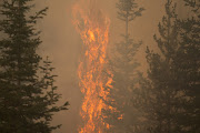 The Bootleg Fire burns through vegetation near Paisley, Oregon, US, July 20, 2021. 